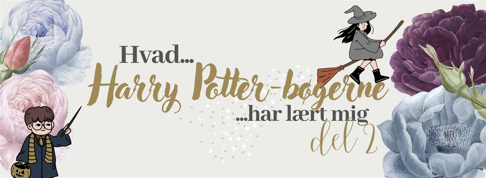 Hvad Harry Potter-bøgerne har lært mig – del 3