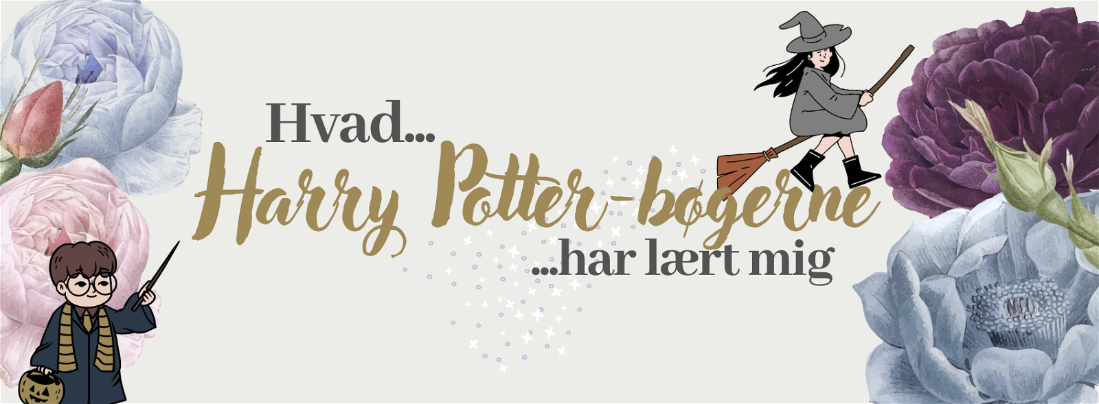Hvad Harry Potter-bøgerne har lært mig