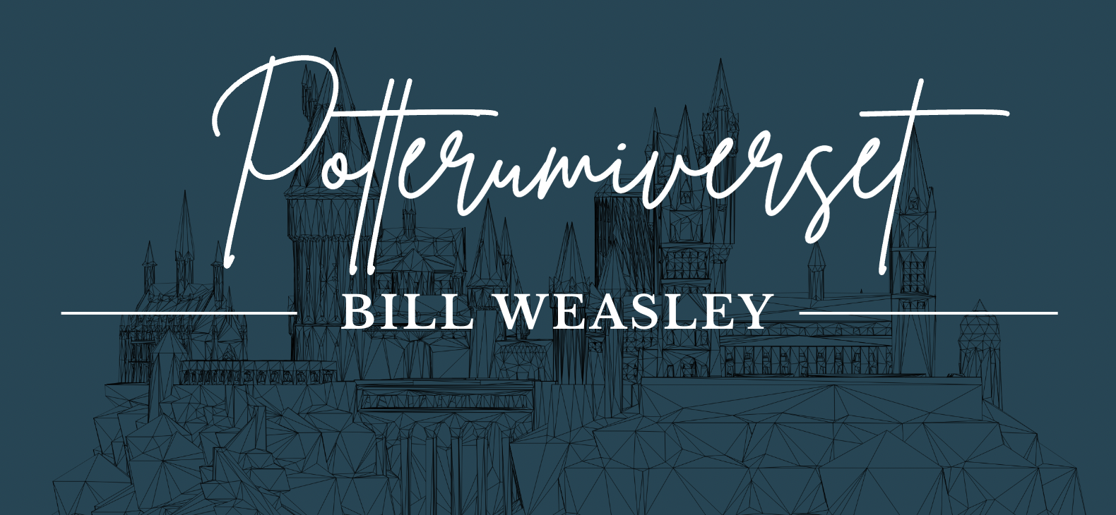 Potteruniverset: Bill Weasley fra Harry Potter