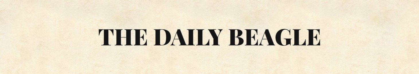 The Daily Beagle: Ollivander se pasa a la Inteligencia Artificial