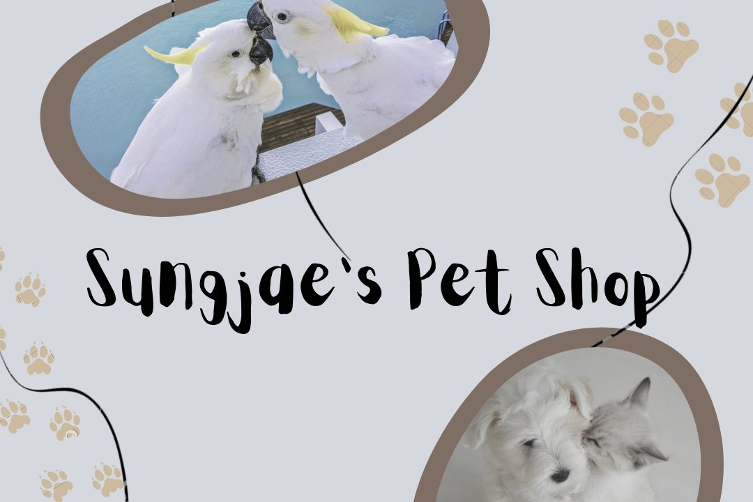 Sungjae's Pet Shop: The Jobberknoll