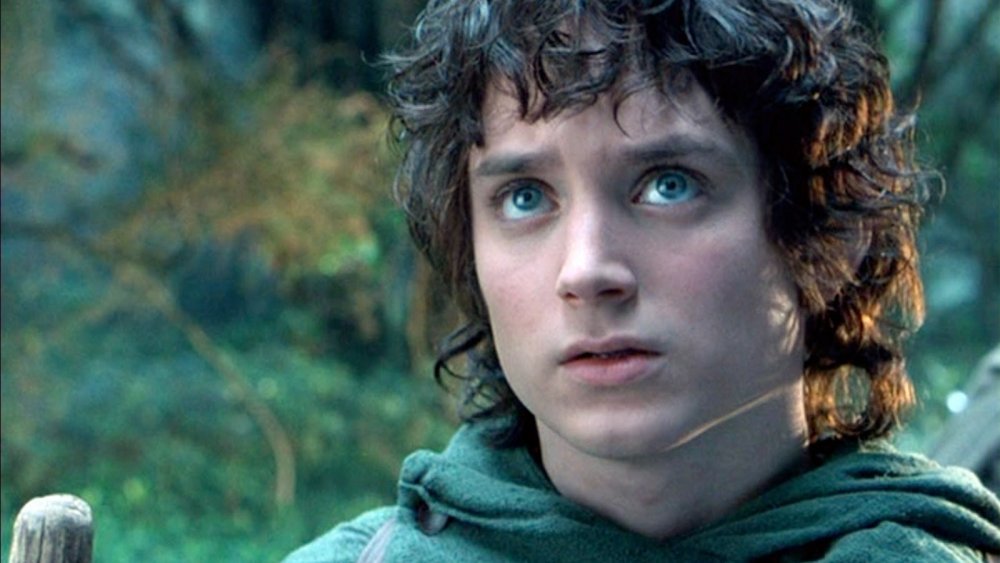 Blog ✦ Frodo: A hero's journey