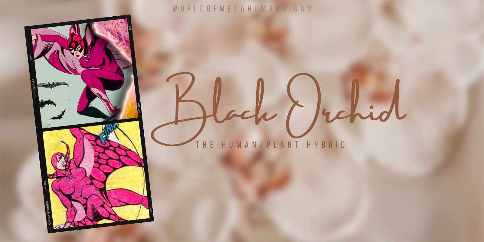 Black Orchid: The Human/Plant Hybrid