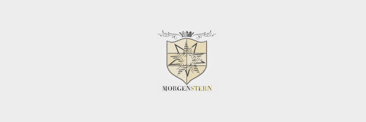 The Morgenstern Institute: A Star is born
