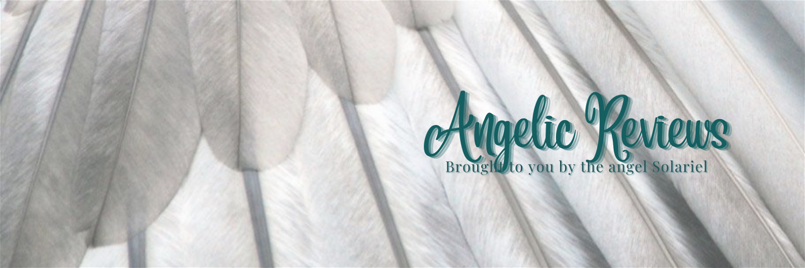 Angelic Reviews 008 - Online Shopping