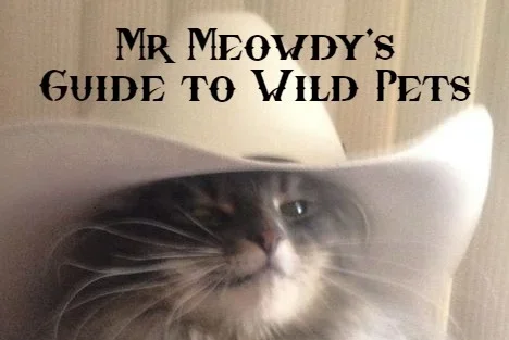 Mr. Meowdy's Guide to Wild Pets - Issue #2