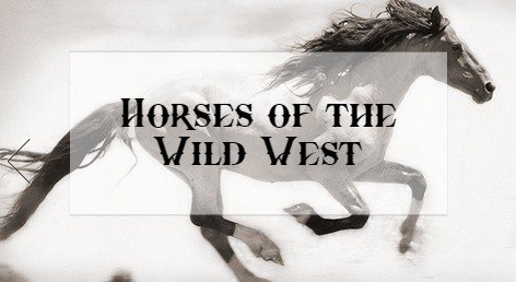 Horses of the wild west